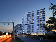 CROSS Design - Proiectare structurala